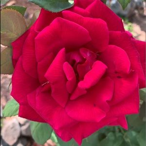 Meet your Posher, Karri